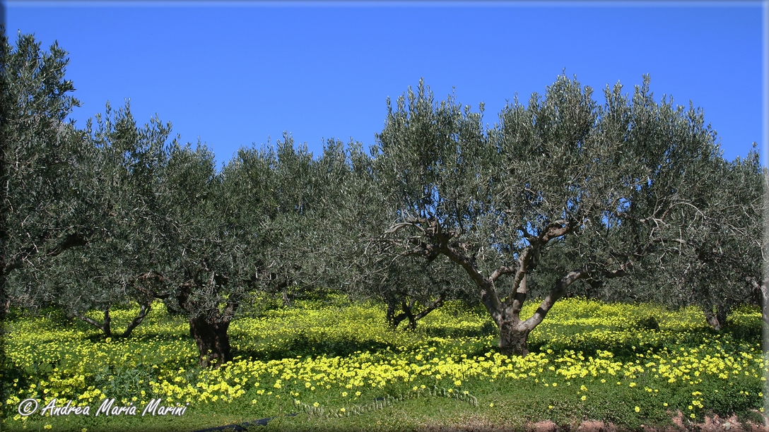 Zakros (Ost-Kreta)