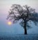 Mist, partiellement nuageux